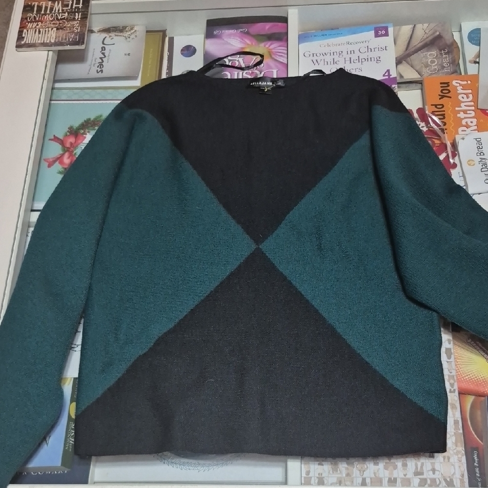 Bella Jane Stylish Black and Green Sweater